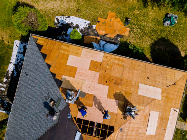 Best New Roof Installation  in Albany, KY