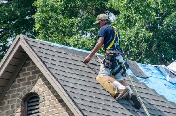 Best Roof Replacement Cost  in Albany, KY
